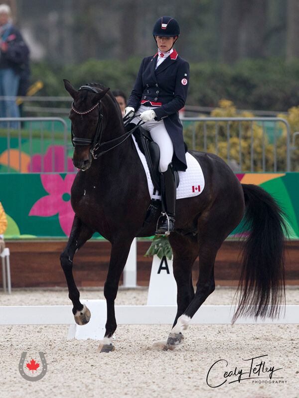 Canadian Dressage Athlete Tina Irwin Returns to Podium for Individual Silver at Lima 2019 Pan Am Games